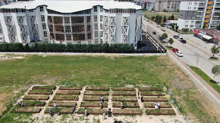 Bursa’da milyonluk evlerin arasında tarımla uğraşıyorlar