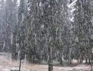 Yılın birinci kar yağışı başladı