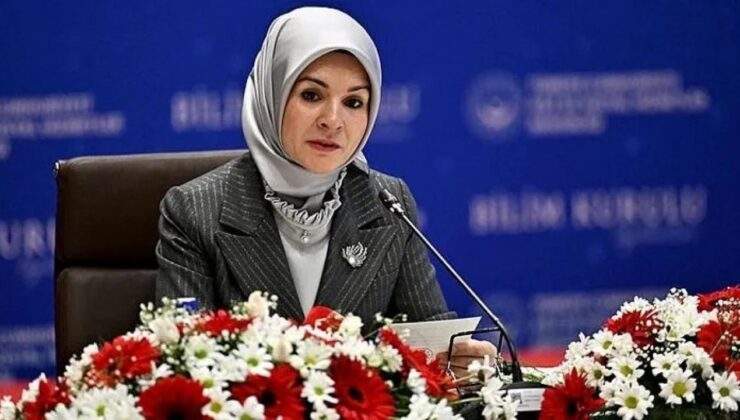 Bakan Göktaş: Kamuda çalışan engelli sayısını 68 bine ulaştırdık