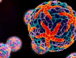 DSÖ’den son dakika ürküten açıklama! 4 milyar insan tehlike altında!