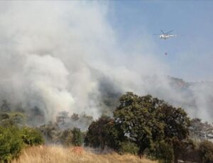 Global ısınmanın tetiklediği orman yangınlarının dumanı mevte yol açtığını iddia ediyor.