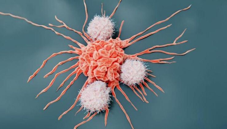 Kansere davetiye çıkarıyor! Bunları nizamlı yemek değerliye patlıyor