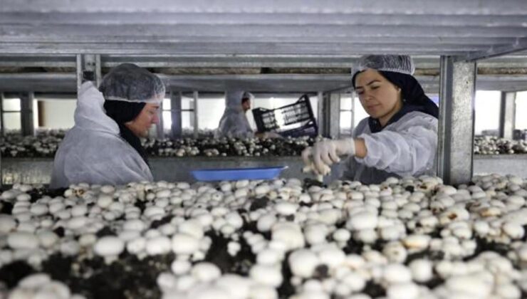 İktisatta büyümenin anahtarı bayanın elinde