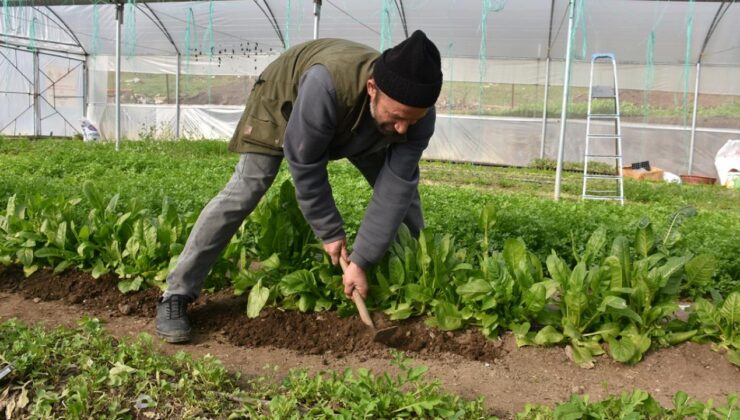 Devlet takviyesiyle kurmuştu: Artık 7 kişilik ailesine bakıyor!